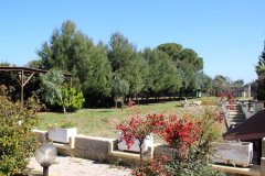 Giardino - 3