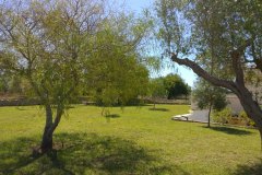 Giardino - 5